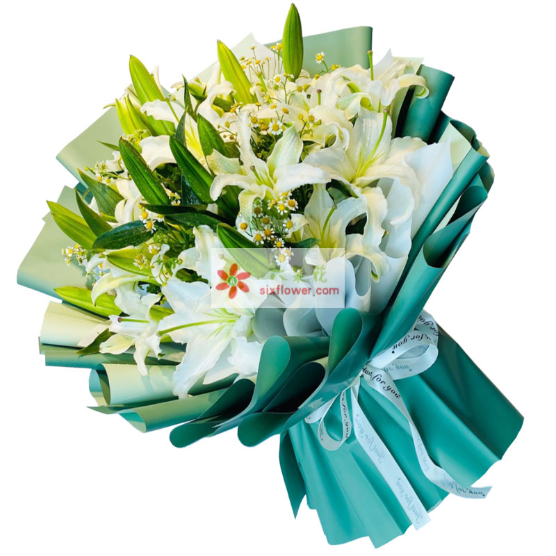 8支白色多头百合洋甘菊，如潮的思念