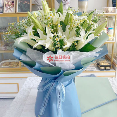 湘西8支白色多头百合洋甘菊，互倾的思念