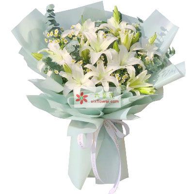 湘西6支白色多头百合，温馨的祝福